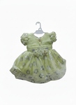 Elegant Light Green Floral Party Dress